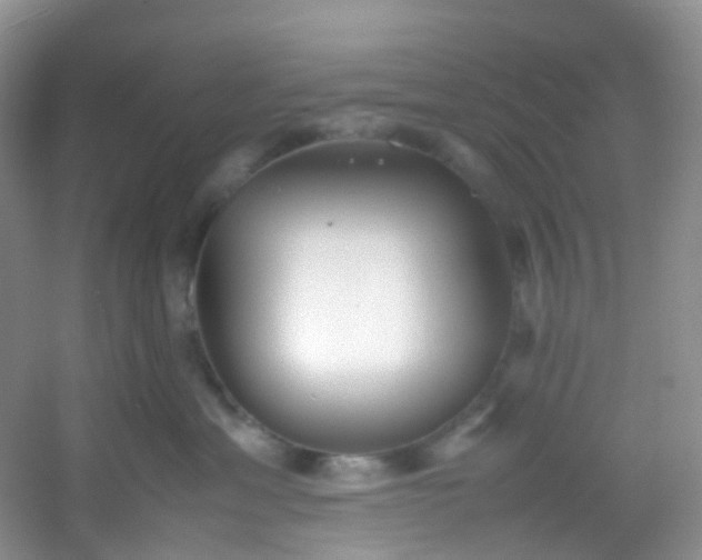 X0000054470429200508122008