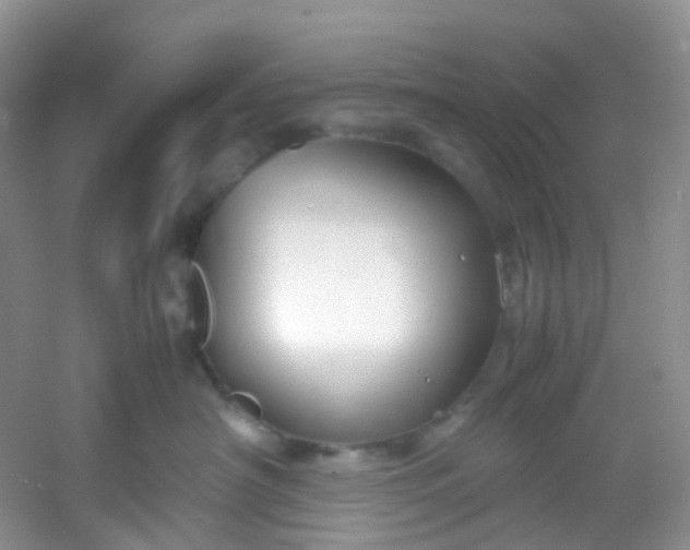 X0000054470430200508122008