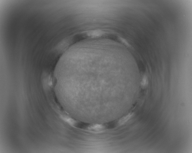 X0000054470431200508122008