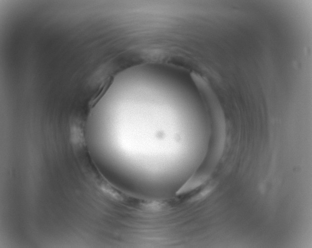 X0000054470432200508122008