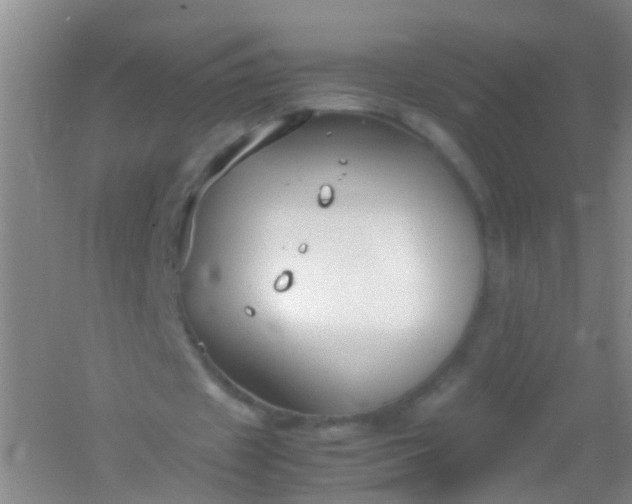 X0000054470433200508122007