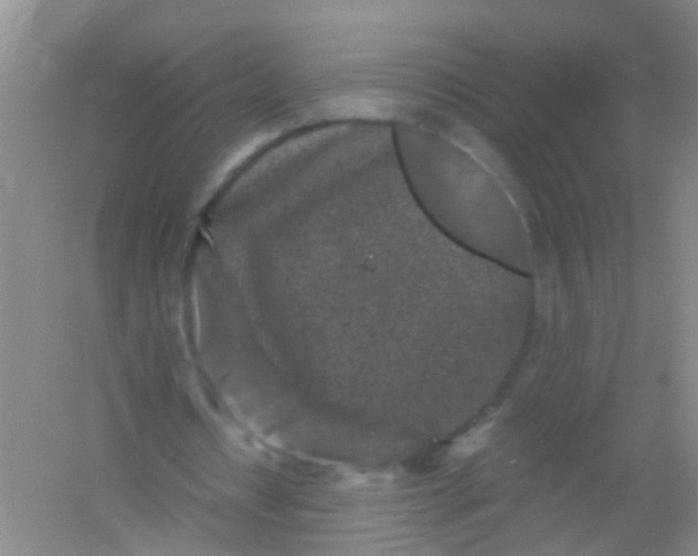 X0000054470434200508122007