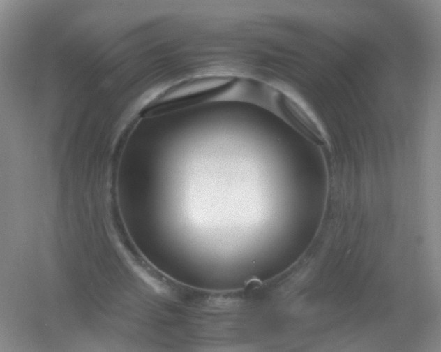 X0000054470437200508122007