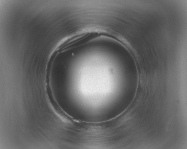 X0000054470438200508122007