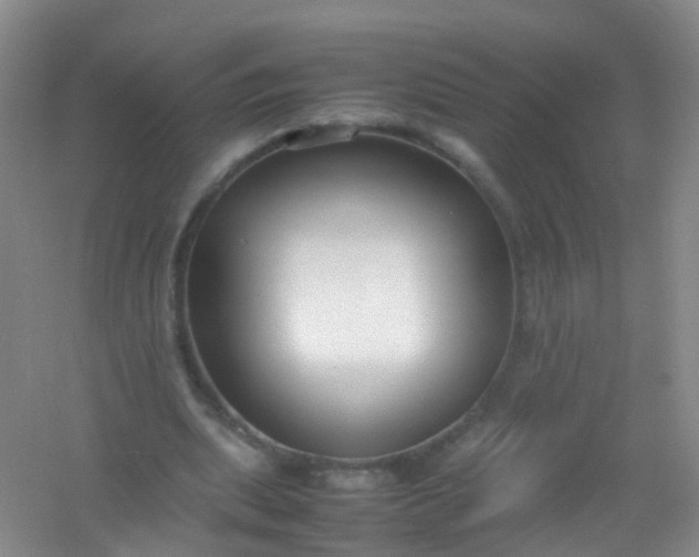 X0000054470439200508122007