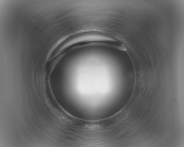 X0000054470440200508122007