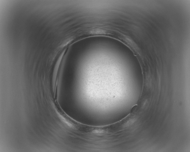 X0000054470441200508122007