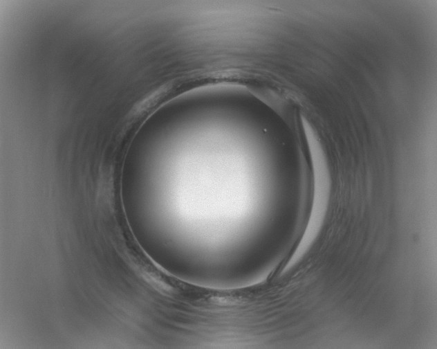 X0000054470442200508122007