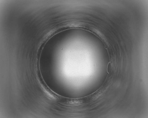 X0000054470445200508122008