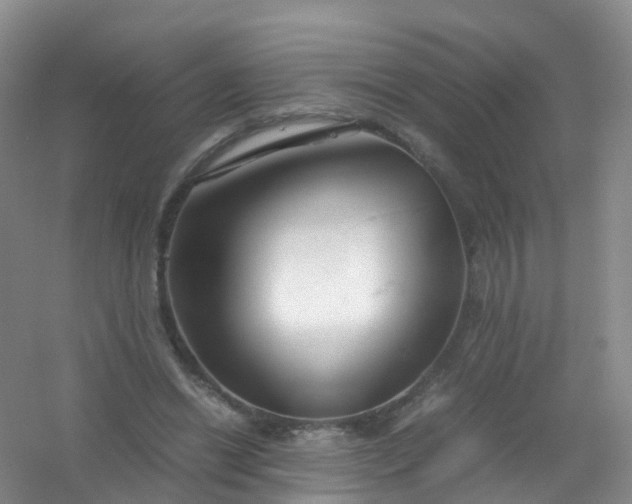 X0000054470446200508122008