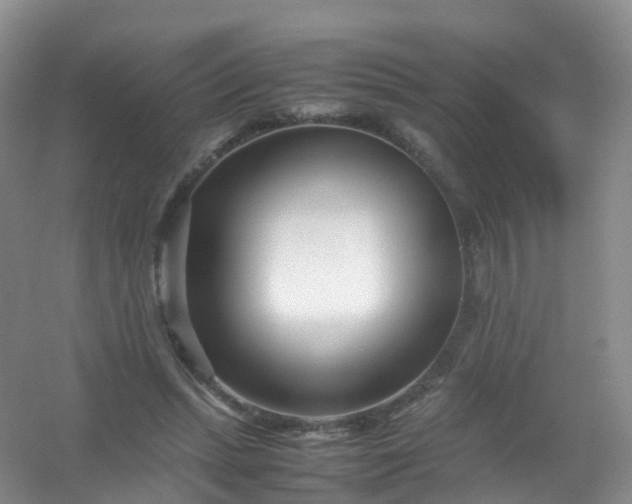 X0000054470447200508122008