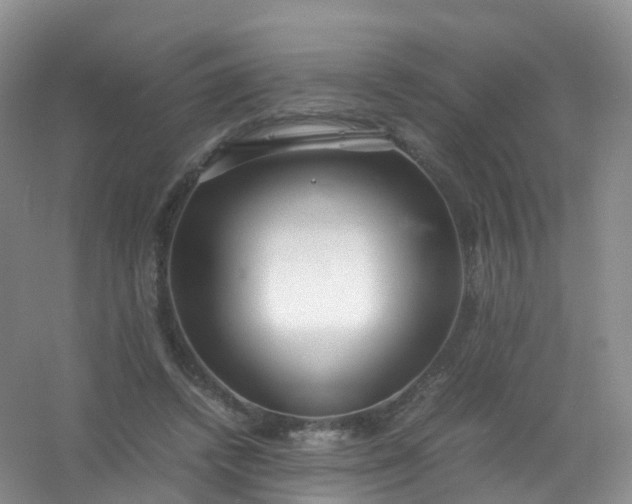 X0000054470448200508122008