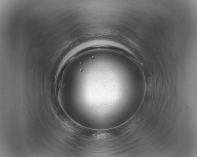 X0000054470452200508122008