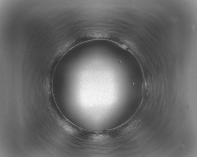 X0000054470453200508122008