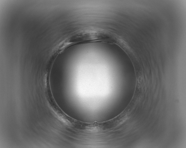 X0000054470454200508122008