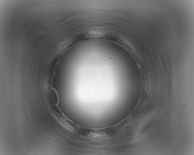 X0000054470455200508122008