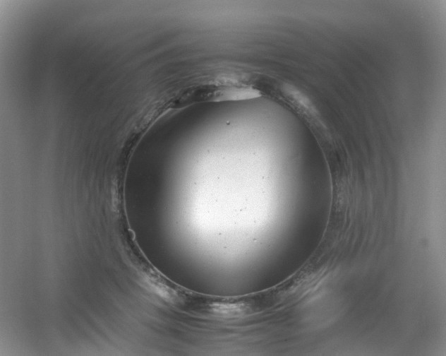 X0000054470457200508122008