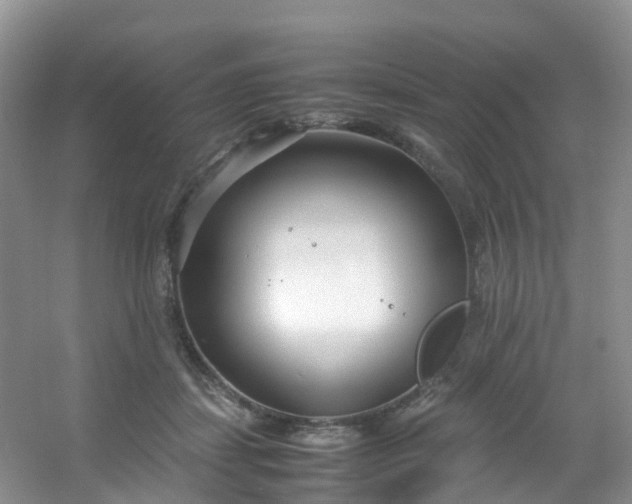 X0000054470459200508122008