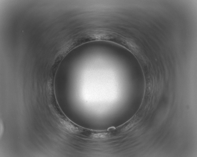 X0000054470461200508122008