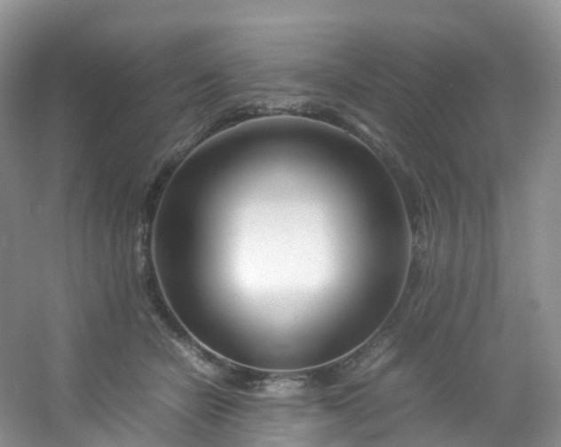 X0000054470462200508122008