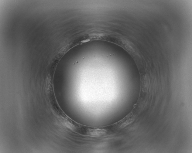 X0000054470463200508122008