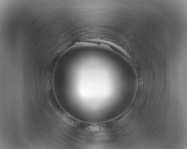 X0000054470464200508122008