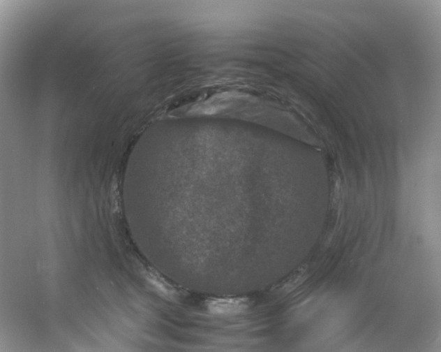 X0000054470465200508122008