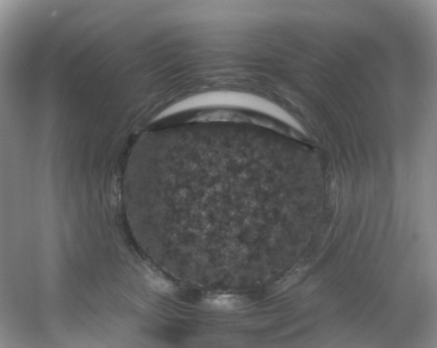 X0000054470467200508122008