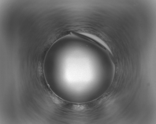 X0000054470469200508122008