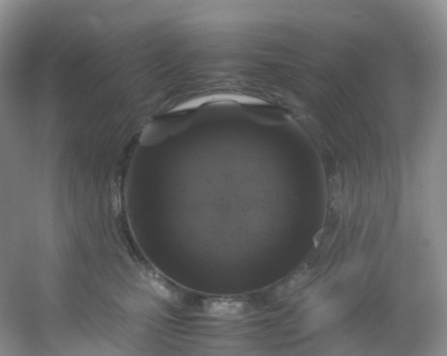 X0000054470471200508122008