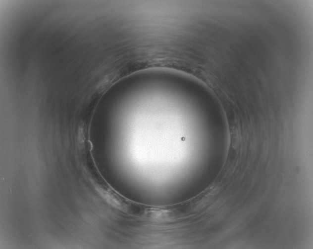 X0000054470472200508122008