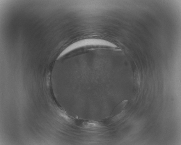 X0000054470475200508122008