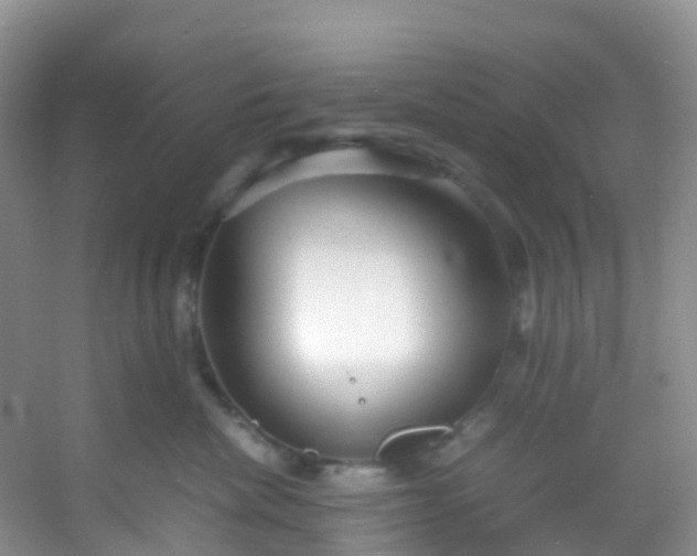 X0000054470476200508122008