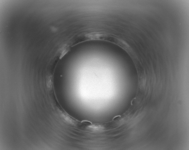 X0000054470477200508122008