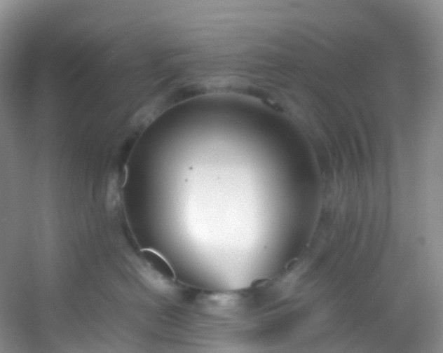 X0000054470478200508122008