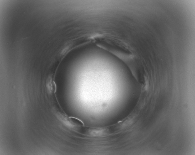 X0000054470479200508122008