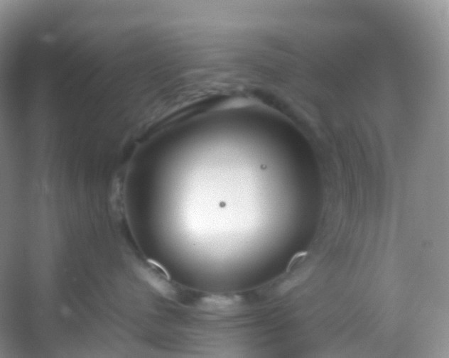 X0000054470480200508122008