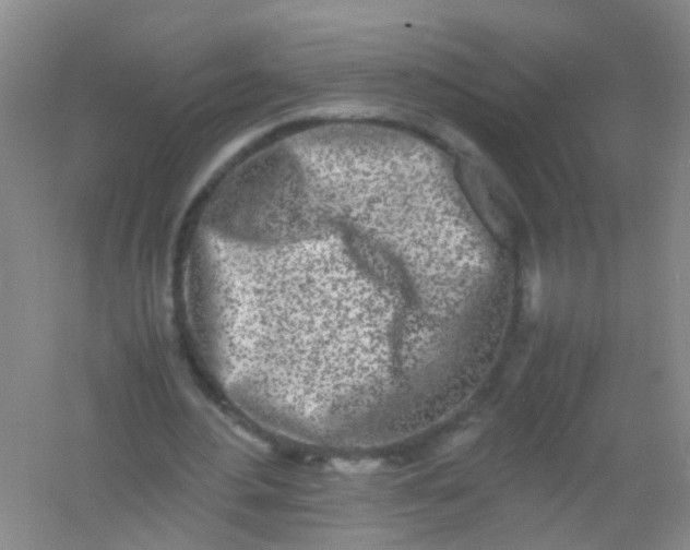 X0000054470484200508122007