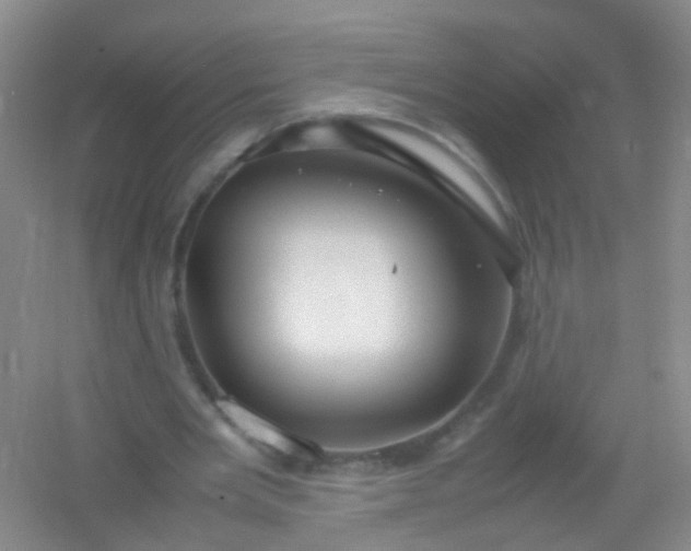 X0000054470485200508122007