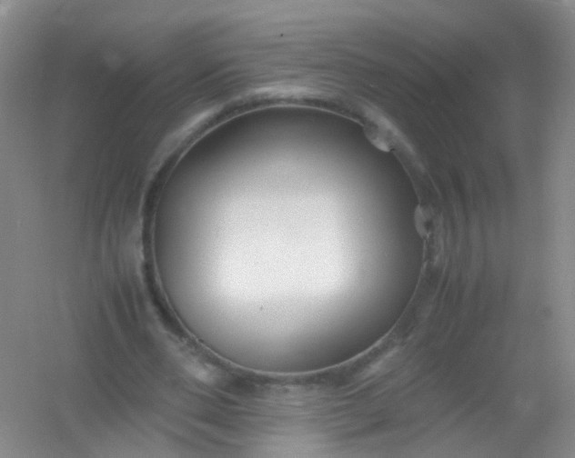 X0000054470486200508122007