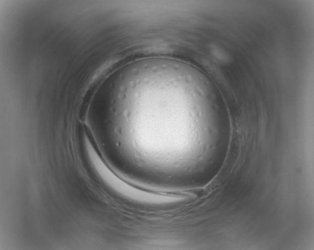 X0000054470487200508122007