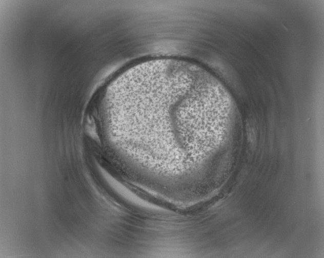 X0000054470488200508122007