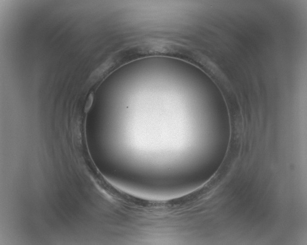 X0000054470489200508122007