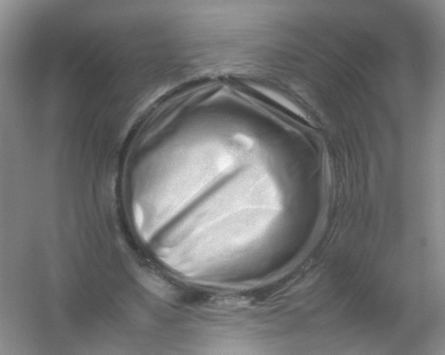 X0000054470491200508122007