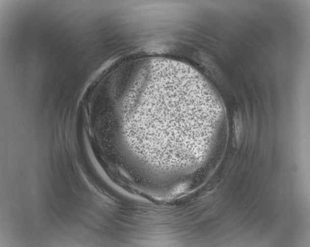 X0000054470492200508122007