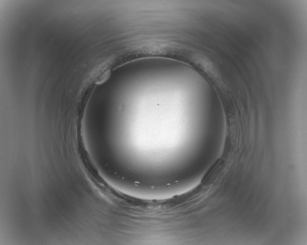 X0000054470493200508122007