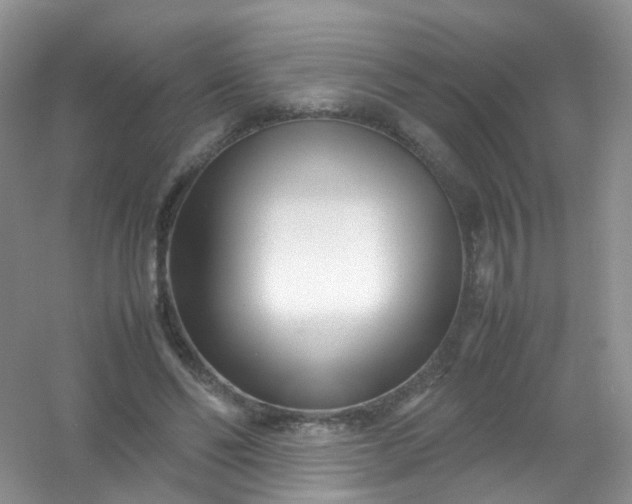 X0000054470494200508122007