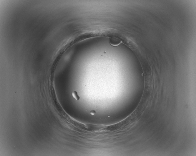 X0000054470495200508122007