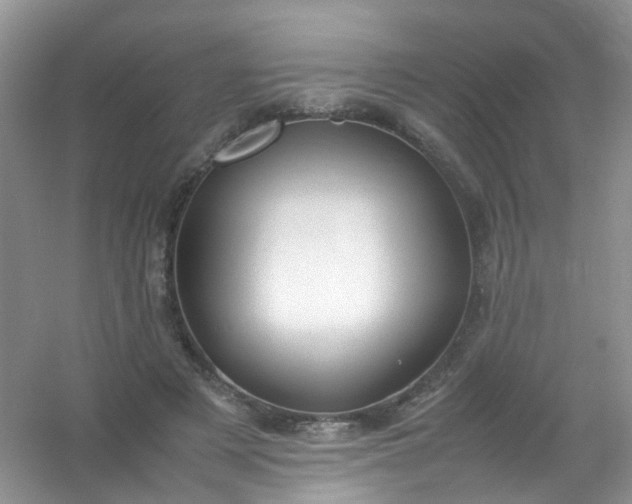 X0000054470497200508122007