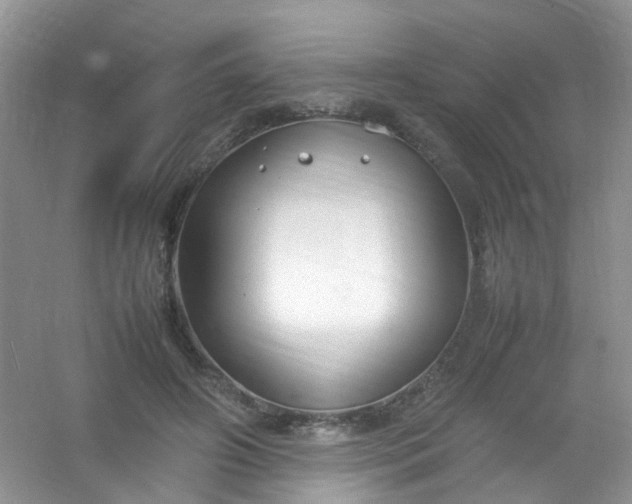 X0000054470498200508122007